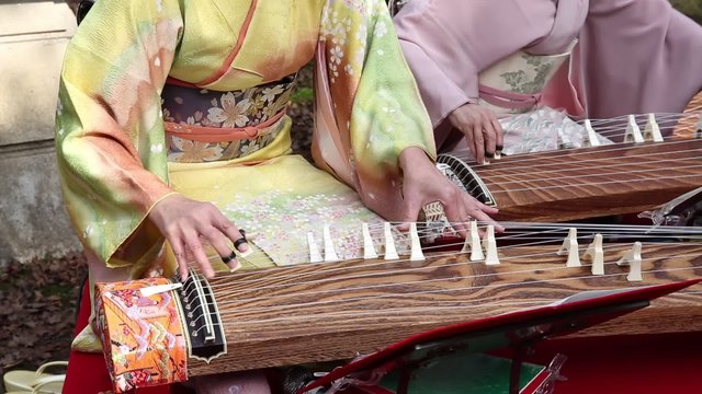 琴の演奏