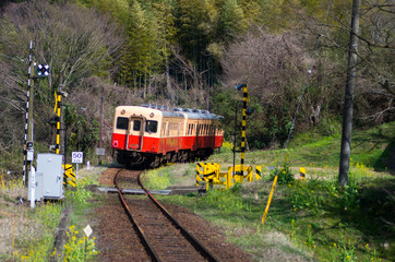 Obraz premium Kominato railway,chiba(prefectures),tourism of japan