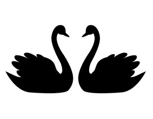 Naklejka premium Swan couple