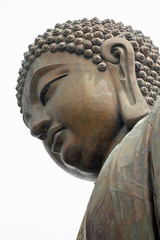 Huge head of a Buddha on a white background