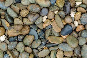 Pebble Texture Background / Pebble Texture / Closeup Pebble Texture