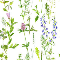 Fototapeta na wymiar seamless pattern with herbs and flowers