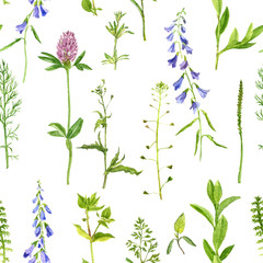 seamless pattern with herbs and flowers