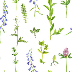 seamless pattern with herbs and flowers