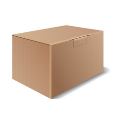 Vector cardboard box