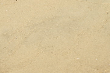 Fototapeta na wymiar Sand Beach background