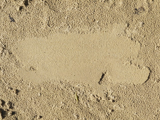 Sand Texture