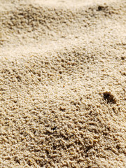 Sand background. Closeup sand. Beach sand in the summer