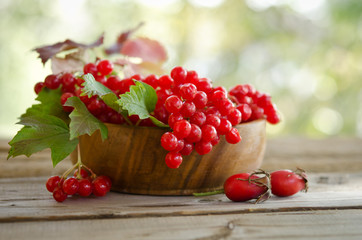 Red Viburnum berries in wooden bowl on the table with two rose h