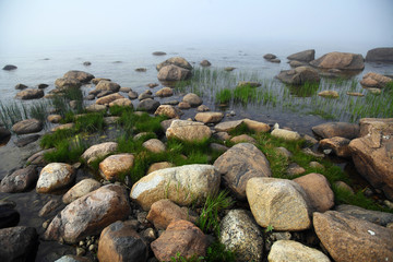 Fototapeta na wymiar Mist and rocks