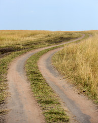 Fototapeta na wymiar Road to the National Reserve of Kenya
