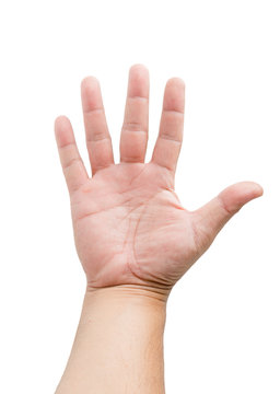 An adult male hand holding up five fingers spread apart. Image i