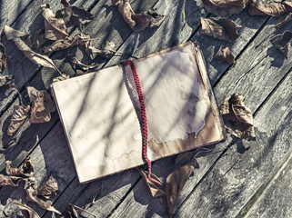 Nostalgia still life with book and fallen leaves