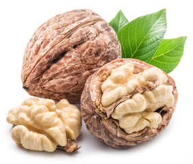 Walnut and walnut kernel.