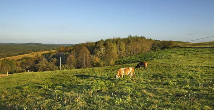 Landscape near Jawornik Ruski‎. Poland 