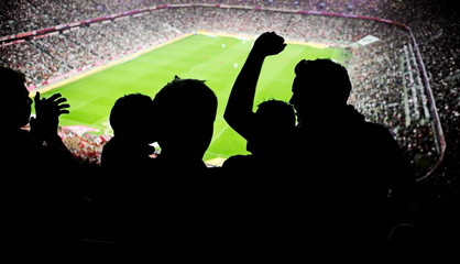 soccer fans stadium