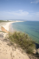Fototapeta na wymiar Beach at Barbate, Cadiz, Andalusia, Spain