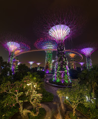 Magic garden at night, Singapore