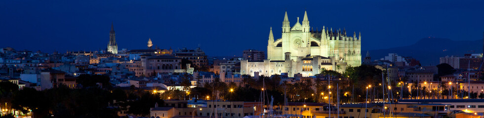 Fototapeta na wymiar Widescreen of Palma de Mallorca and Cathedral by night.