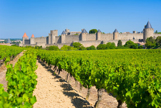 Cite in Carcassone in a sunny summer day