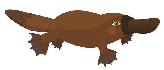 Cartoon parrot - platypus - isolated - illustration for the children