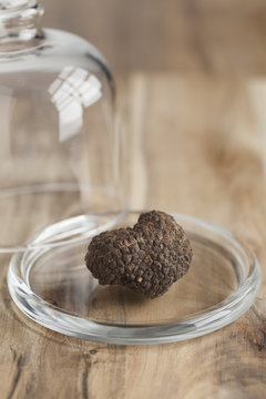  Fresh whole black truffle