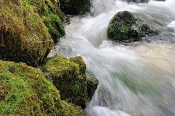 Wildbach