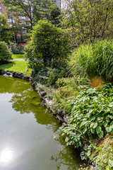 Obraz premium Lilies on Shore of Green Lake