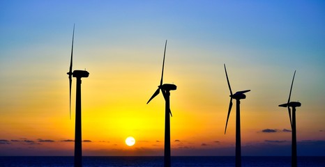 Wind park at sunrise
