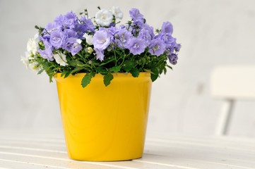 Blumentopf auf Gartentisch