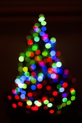 Fototapeta na wymiar Christmas Tree.
