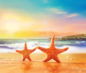 Naklejka na ściany i meble Two starfishes on a summer beach