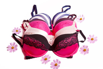 Beautiful color underwear on a white background in soft colors