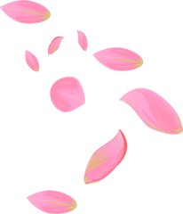 pink petals