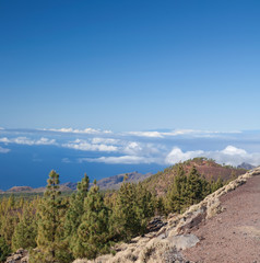 Teide Tenerife Canarian volcano landscapes