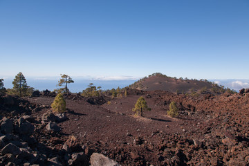Teide Tenerife Canarian volcano landscapes