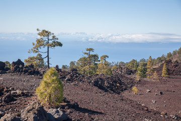 Fototapeta na wymiar Teide Tenerife Canarian volcano landscapes