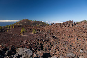 Teide Tenerife Canarian volcano landscapes