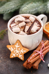 Hot chocolate with marshmallows
