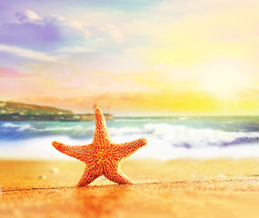 Naklejka na ściany i meble starfish on the summer beach