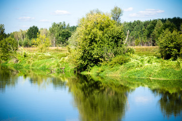 Green Forest and River