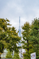 View of Tokyo Sky Tree from Senso-ji Temple with cloudy and foggy sky.