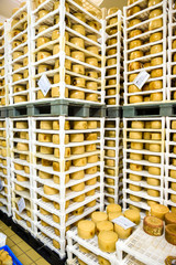 Cheese factory warehouse with shelves stacked with cheese