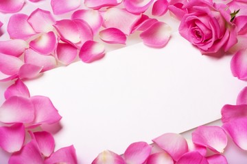 Close up view of the letter covered rose petals