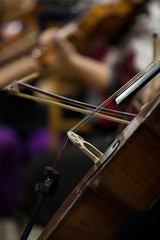 The fiddlestick  on the strings cello closeup