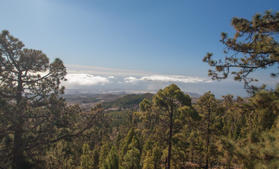 tenerife island coast landscapes