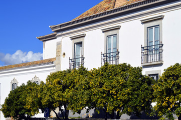 Orange trees outside historical houses in old town Faro