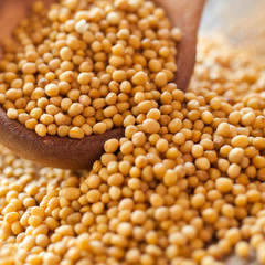 Mustard seeds in wooden spoon closeup 