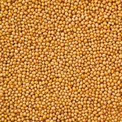  Mustard seeds closeup