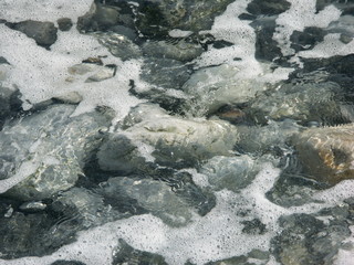 Grey pebbles at the seashore